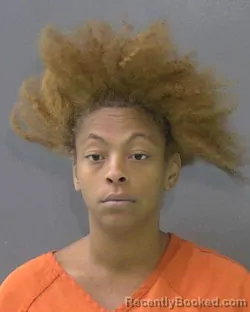 Mugshot of Arneisha Lakay Johnson booked in Bell County, Texas on August 15, 2026