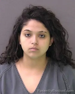 Mugshot of Evangelina Maribel Dalmasi booked in Bell County, Texas on August 17, 2026