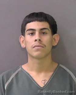 Mugshot of Elijah Noel Aviles booked in Bell County, Texas on August 24, 2026