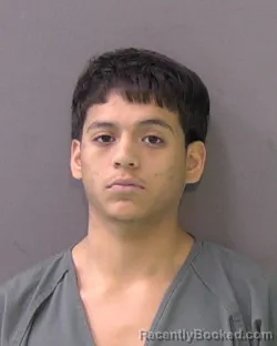 Mugshot of Francisco Magdaleno Alonso booked in Bell County, Texas on September 3, 2026