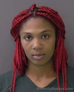 Booking photo from Bell County, Texas