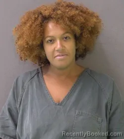 Mugshot of Safiya Zalika Dziko Bakari booked in Bell County, Texas on September 16, 2026