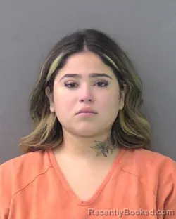 Mugshot of Crystal Susana Diaz booked in Bell County, Texas on September 17, 2026