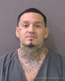 Mugshot of Pedro Thomas Tamez booked in Bell County, Texas on October 1, 2026