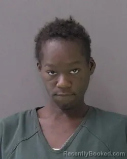 Mugshot of Dawnesha Monique Johnson booked in Bell County, Texas on October 1, 2026
