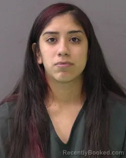 Mugshot of Violett Ann Lozano booked in Bell County, Texas on October 8, 2026
