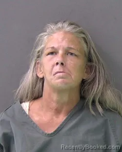 Mugshot of Andrea Michelle Ellis booked in Bell County, Texas on October 9, 2026
