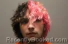 Mugshot of GABREIEL DEAN HEITSHUSEN booked in Dodge County, Nebraska on May 8, 2026