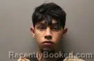Mugshot of Zayne Jacob Schollmeyer booked in Dodge County, Nebraska on August 29, 2026
