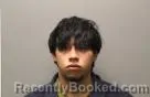 Mugshot of Zayne Jacob Schollmeyer booked in Dodge County, Nebraska on August 7, 2026