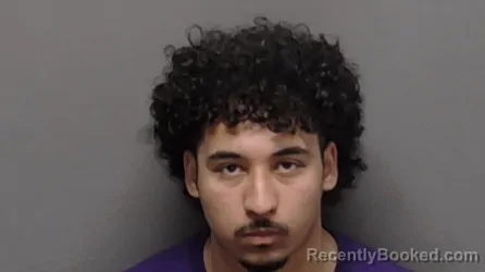 Mugshot of NATHANIEL DE LOS SANTOS