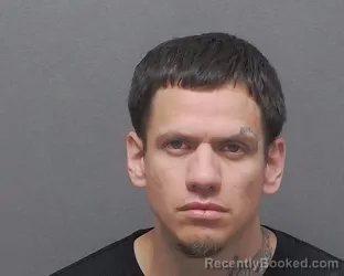 Mugshot of LOUIS D III MIRELES