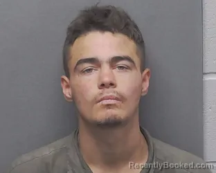 Mugshot of DAVID A WILLIAMS