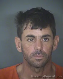 Mugshot of BRANDON D WADE