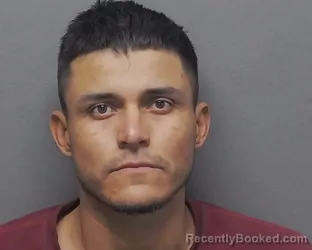 Mugshot of NESTOR F VALENZUELA-ECHEVERRIA