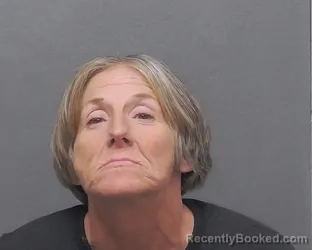 Mugshot of TRISH MCMINIMY
