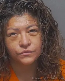Mugshot of SONIA G FLORES MANUELES