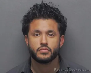 Mugshot of BRIAN R HIGGINS