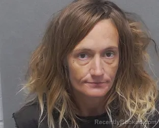 Mugshot of JULIA N ANDERSON