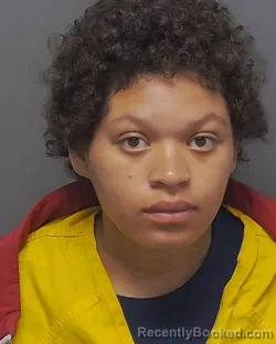 Mugshot of PATRICIA L ADAMS