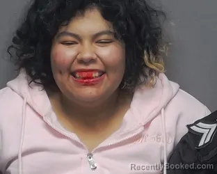 Mugshot of AMANDA A LOPEZ