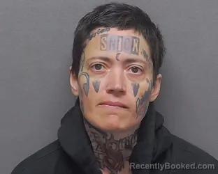 Mugshot of BRENDEN WHITE