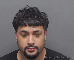 Mugshot of ALBERTO JR HERNANDEZ