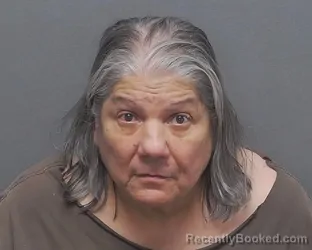 Mugshot of DONNA V DELGADO