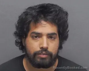 Mugshot of LEO V DIAZ