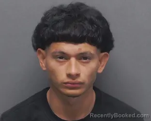 Mugshot of JEFFERSON PALACIOS FLORES