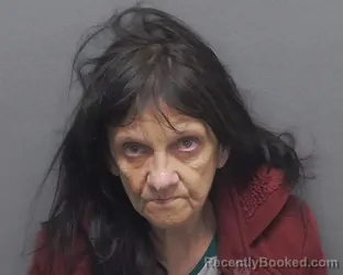 Mugshot of CINDY L LOVE