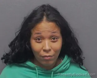 Mugshot of GENISIS Y ALVARADO