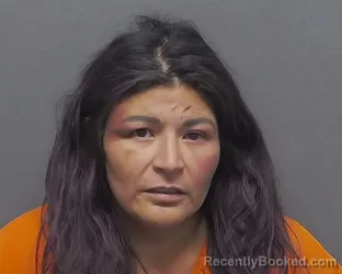 Mugshot of TERESA M HONSTEIN