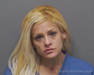 Mugshot of LISA M VILLEGAS