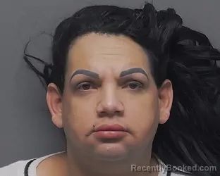 Mugshot of PEDRO P MILORD AVILA