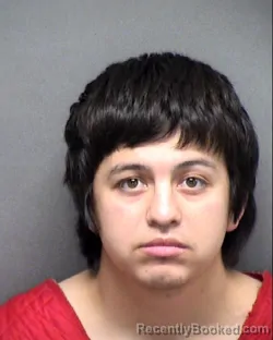 Mugshot of MIGUEL M CASTRO