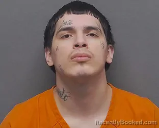 Mugshot of ANGEL L GONZALEZ