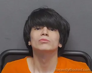 Mugshot of DAVID K MILLER