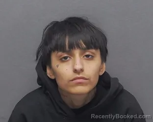 Mugshot of JULIE E MEDINA