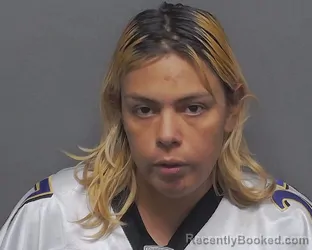 Mugshot of STORMYNYGHT L CONLEY