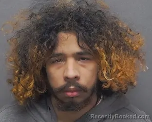 Mugshot of CHRISTOPHER M NAPOLES