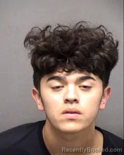 Mugshot of JESUS A VILLASANA AVINA