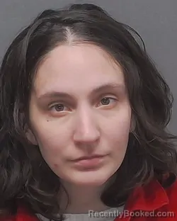 Mugshot of LISA M KNORR