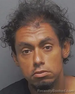 Mugshot of RAYMOND D OLIVO