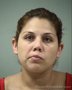 Mugshot of SANDRA L FLORES