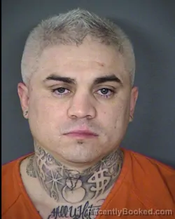 Mugshot of MICHAEL D OYERVIDES