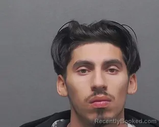 Mugshot of MASON GUERRA