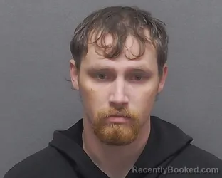 Mugshot of DAVID L JR RAY