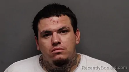 Mugshot of DAVID R PADILLA