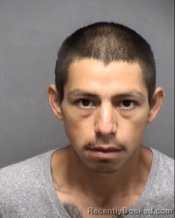 Mugshot of NELSON R IGLESIAS